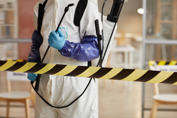 Professional Infectious Disease Decontamination technician working in Pine River, WI